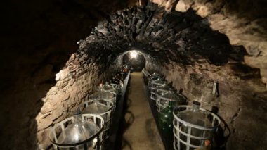 Eski asma cellars Petrov, Çek Cumhuriyeti