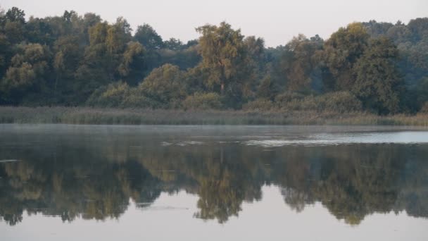 Sjön nära han ruinerna av slottet Trosky i Tjeckien — Stockvideo