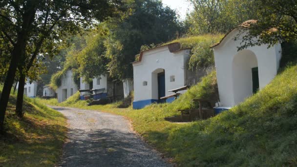 Viejas bodegas en Petrov, República Checa — Vídeo de stock