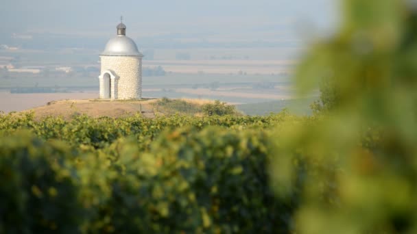 Kapell med vingårdar i Tjeckien — Stockvideo