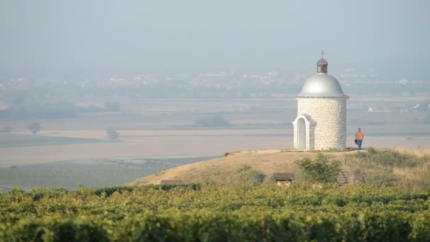 Chapel with vineyards in Czech Republic — Stock Video