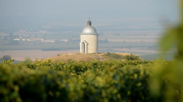 Capilla con viñedos en República Checa — Vídeos de Stock