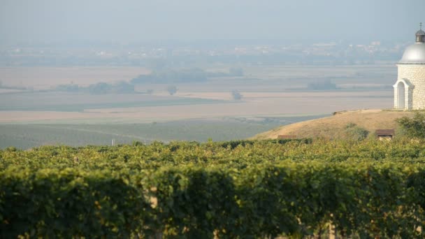 Capilla con viñedos en República Checa — Vídeo de stock