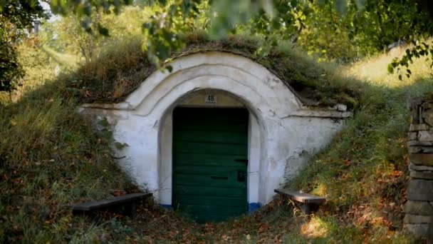Старий підвал винограду в Петров, Чеська Республіка — стокове відео