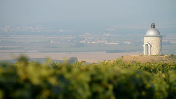 Chapelle avec vignobles en République tchèque — Video