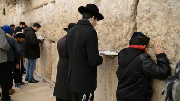 西の前で祈るユダヤ人は、エルサレムの壁します。 — ストック動画