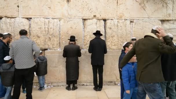 西の前で祈るユダヤ人は、エルサレムの壁します。 — ストック動画