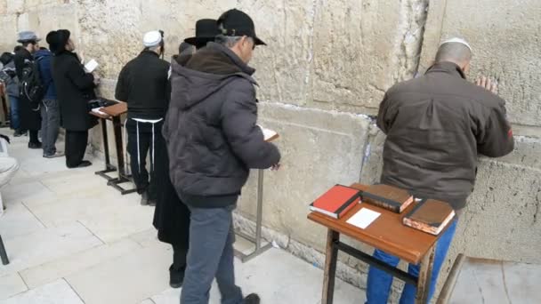 Jews praying in front of Western wall in the Jerusalem — Stock Video