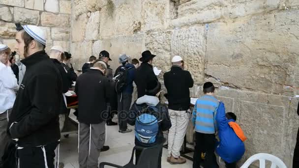 Ebrei che pregano davanti al muro occidentale di Gerusalemme — Video Stock
