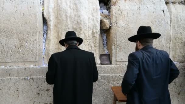 Евреи молятся перед Западной стеной в Иерусалиме — стоковое видео