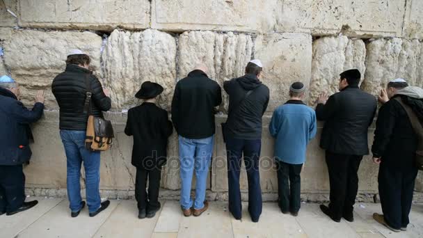 Jews praying in front of Western wall in the Jerusalem — Stock Video