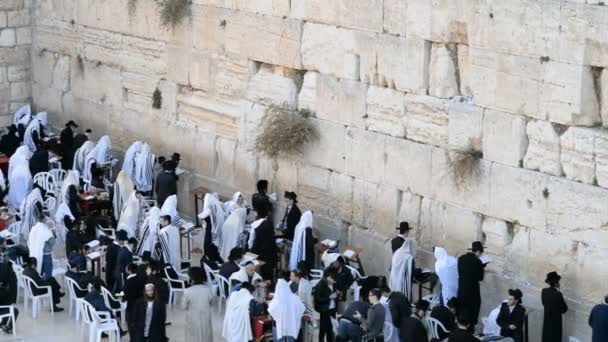 Jews praying in front of Western wall in Jerusalem — Stock Video