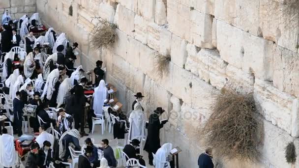 Juifs priant devant le mur occidental à Jérusalem — Video