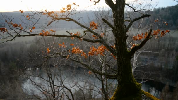 Осенний пейзаж Чехии — стоковое видео