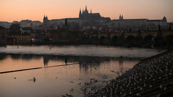 Ηλιοβασίλεμα πάνω από το κάστρο της Πράγας και τη γέφυρα του Καρόλου — Αρχείο Βίντεο