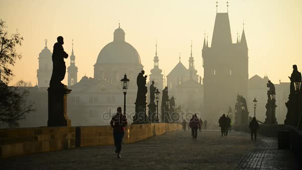 Touristen auf der Karlsbrücke in Prag — Stockvideo