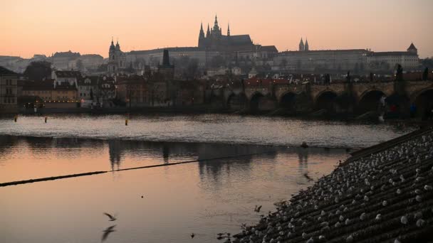 Prag Kalesi ve Charles Köprüsü üzerinden günbatımı — Stok video