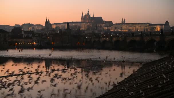 Закат над Пражским замком и Карловым мостом — стоковое видео