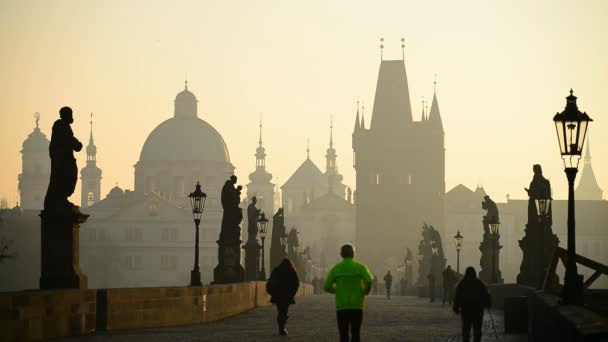 Charles Köprüsü'nde Prag'da turistler — Stok video