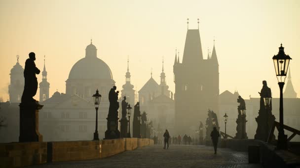 Turistas na ponte Charles em Praga — Vídeo de Stock