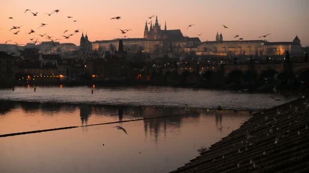 Sunset over the Prague castle and Charles bridge — Stock Video