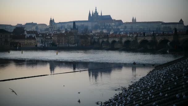 Prag Kalesi ve Charles Köprüsü üzerinden günbatımı — Stok video