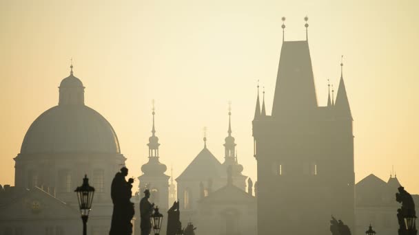 Turister på Karlsbron i Prag — Stockvideo