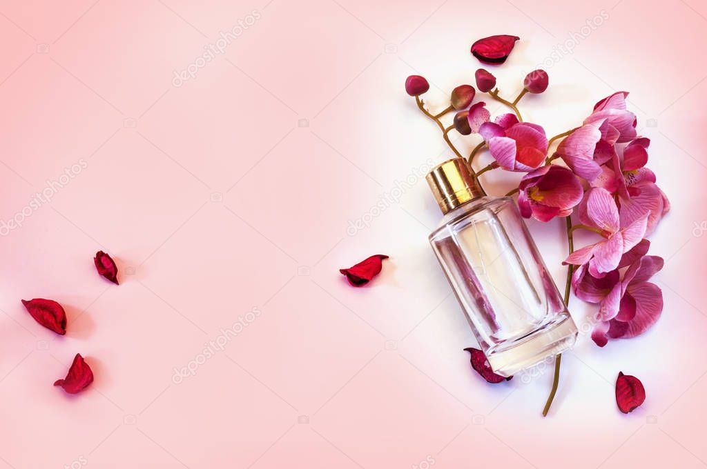 bottle of women's perfume on a pink background