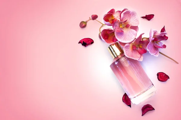 Frasco de perfume de mujer sobre fondo rosa —  Fotos de Stock
