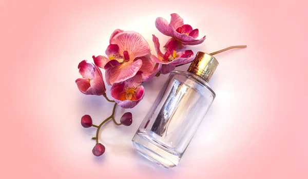 Fles van vrouwen parfum op een roze achtergrond — Stockfoto