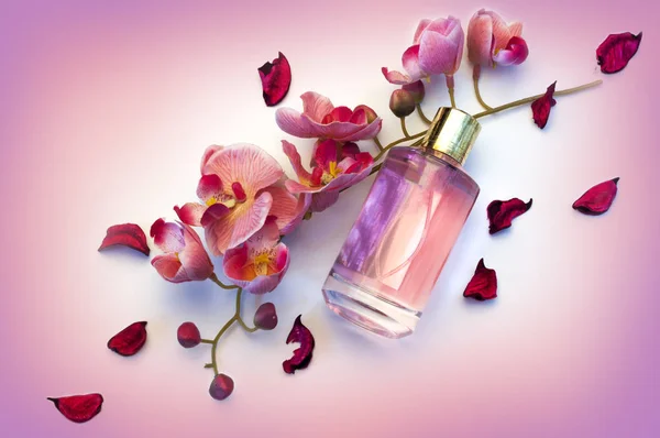 瓶上粉红色的背景的妇女的香水 — 图库照片