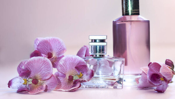 bottle of women's perfume on a pink background