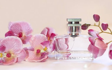 pembe bir arka plan üzerinde kadın parfüm şişe