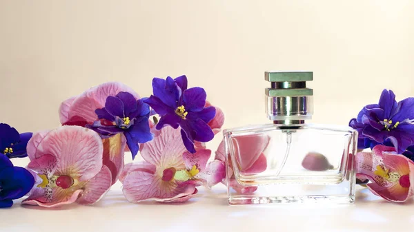 Ženy parfém na růžovém pozadí — Stock fotografie