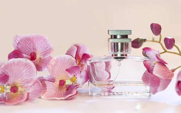 Butelek perfum dla kobiet na różowym tle — Zdjęcie stockowe