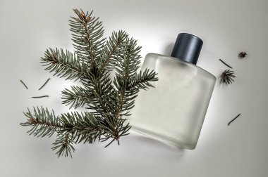  gri bir arka plan üzerinde erkek parfüm şişe