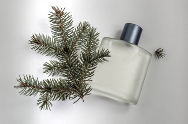  gri bir arka plan üzerinde erkek parfüm şişe