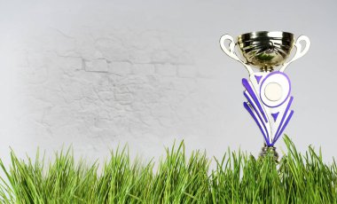 Altın spor Kupası gri bir arka plan üzerinde