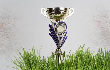 Altın spor Kupası gri bir arka plan üzerinde