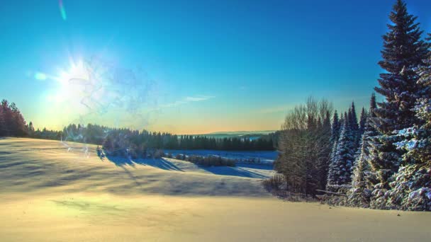 CINEMAGRAPH, neve che cade nella foresta invernale , — Video Stock