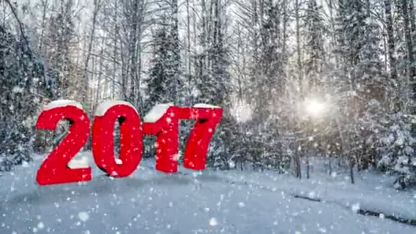 Zahl 2017 Schneefall im Winterwald, Cinemagraph, Loop, 1080p — Stockvideo