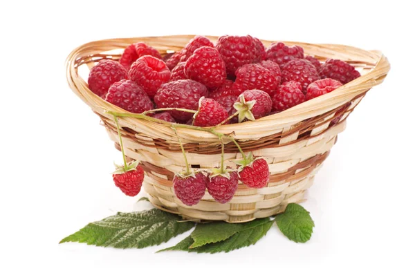 Ripe raspberries in basket with mint on white — Stock Photo, Image