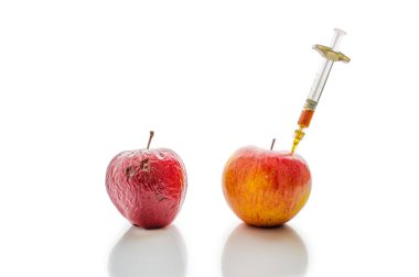 Taze ve eski elma. Gençleştirme kavram olarak.