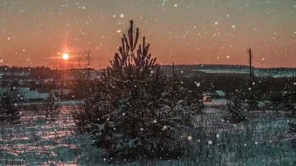 CINEMAGRAPHE, 4k, chute de neige dans la forêt d'hiver, boucle — Video