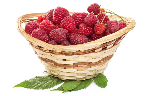 Reife Himbeeren im Korb mit Minze auf Weiß — Stockfoto