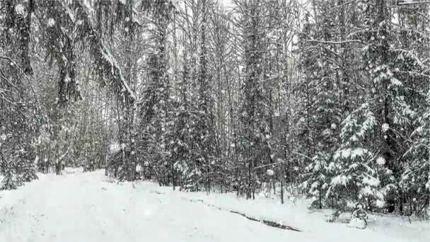 Dibujo estilizado, CINEMAGRAPH, 4k, nieve cayendo en el bosque de invierno, bucle — Vídeo de stock