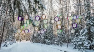 Cinemagraph, 1080p, düşen kar kış ormanın içinde döngü