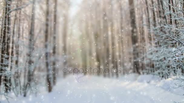 CINEMAGRAPH, 4k, nevando en el bosque invernal — Vídeos de Stock