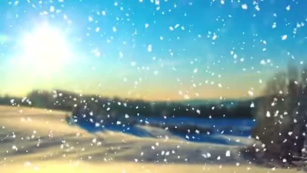 Kino, fallender Schnee im Winterwald, — Stockvideo