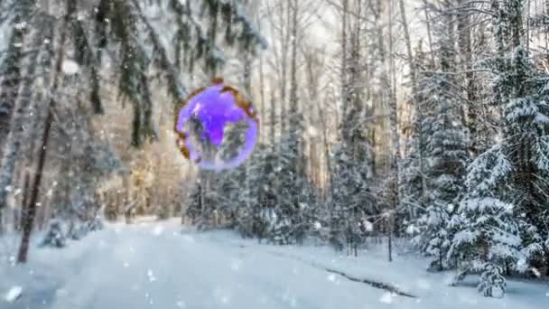 CINEMAGE PH, 1080p, выпадающий снег в зимнем лесу, лупа — стоковое видео
